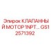 GS12571392 КЛАПАННЫЙ МОТОР 1NPT Epiroc