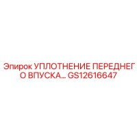 GS12616647 УПЛОТНЕНИЕ ПЕРЕДНЕГО ВПУСКА Эпирок