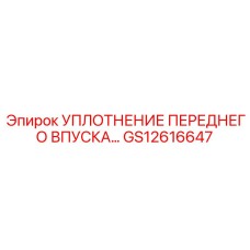 GS12616647 УПЛОТНЕНИЕ ПЕРЕДНЕГО ВПУСКА Эпирок