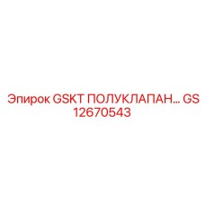 GS12670543 GSKT ПОЛУКЛАПАН... Epiroc