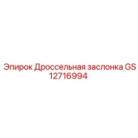 GS12716994 Дроссельная заслонка (Epiroc)