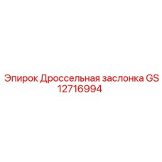 GS12716994 Дроссельная заслонка (Epiroc)