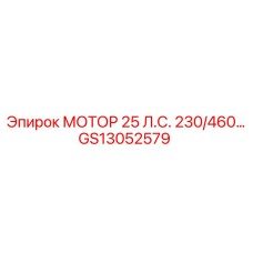 GS13052579 МОТОР 25 Л.С. 230/460 Epiroc