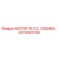 GS13063126 МОТОР 15 Л.С. 230/460… Epiroc