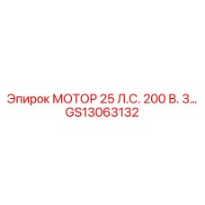 GS13063132 МОТОР 25 Л.С. 200 В. 3… Epiroc