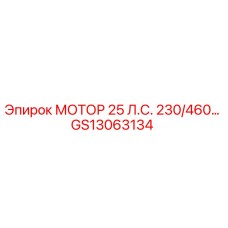 GS13063134 МОТОР 25 Л.С. 230/460… Epiroc