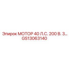 GS13063140 МОТОР 40 Л.С. 200 В. 3… Epiroc