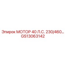 GS13063142 МОТОР 40 Л.С. 230/460… Epiroc
