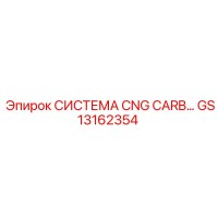 GS13162354 CNG Carb System Epiroc
