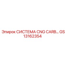 GS13162354 CNG Carb System Epiroc