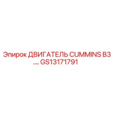 GS13171791 ДВИГАТЕЛЬ CUMMINS B3.3 Epiroc