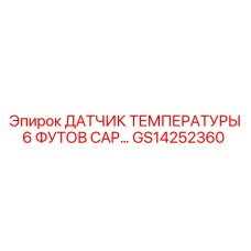 GS14252360 ДАТЧИК ТЕМПЕРАТУРЫ 6 ФУТОВ CAP Epiroc