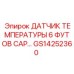 GS14252360 ДАТЧИК ТЕМПЕРАТУРЫ 6 ФУТОВ CAP Epiroc