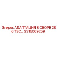 GS15069259 Адаптация в сборе 286 TSC Epiroc