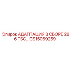 GS15069259 Адаптация в сборе 286 TSC Epiroc
