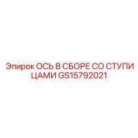 GS15792021 ОСЬ В СБОРЕ СО СТУПИЦАМИ Epiroc
