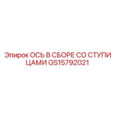 GS15792021 ОСЬ В СБОРЕ СО СТУПИЦАМИ Epiroc