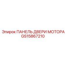 GS15867210 ПАНЕЛЬ ДВЕРИ МОТОРА Epiroc