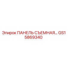 GS15869340 ПАНЕЛЬ СЪЕМНАЯ Epiroc