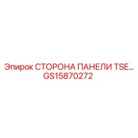 GS15870272 СТОРОНА ПАНЕЛИ TSE Epiroc
