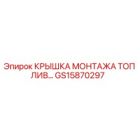 GS15870297 КРЫШКА МОНТАЖА ТОПЛИВ Epiroc