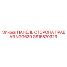 GS15870323 ПАНЕЛЬ СТОРОНА ПРАВАЯ NGG630 Epiroc