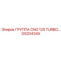 GS20434X ГРУППА CNG 125 TURBO Epiroc
