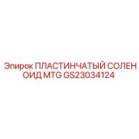 GS23034124 Пластинчатый соленоид MTG Epiroc