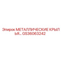 GS36063242 МЕТАЛЛИЧЕСКИЕ КРЫЛЬЯ Epiroc