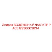 GS36063834 ВОЗДУШНЫЙ ФИЛЬТР PACE Epiroc