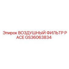 GS36063834 ВОЗДУШНЫЙ ФИЛЬТР PACE Epiroc