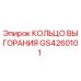GS4260101 КОЛЬЦО ВЫГОРАНИЯ Epiroc