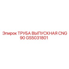 GS5031801 ТРУБА ВЫПУСКНАЯ CNG90 Epiroc
