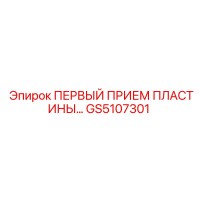 GS5107301 ПЕРВЫЙ ПРИЕМ ПЛАСТИНЫ Epiroc