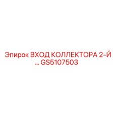 GS5107503 ВХОД КОЛЛЕКТОРА 2-Й Эпирок