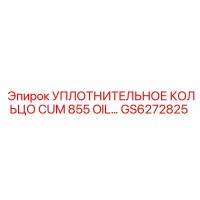 GS6272825 Уплотнительное кольцо CUM 855 OIL Epiroc