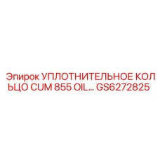 GS6272825 Уплотнительное кольцо CUM 855 OIL Epiroc