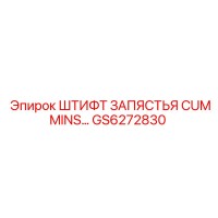 GS6272830 ШТИФТ ЗАПЯСТЬЯ CUMMINS Epiroc