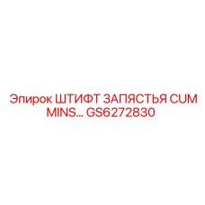 GS6272830 ШТИФТ ЗАПЯСТЬЯ CUMMINS Epiroc