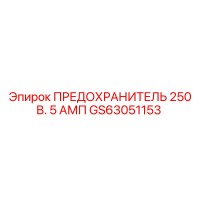 GS63051153 ПРЕДОХРАНИТЕЛЬ 250 В. 5 АМП Epiroc