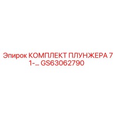 GS63062790 КОМПЛЕКТ ПЛУНЖЕРА 71 (Epiroc)