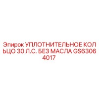 GS63064017 УПЛОТНИТЕЛЬНОЕ КОЛЬЦО 30 Л.С. БЕЗ МАСЛА Эпирок