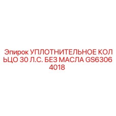 GS63064018 УПЛОТНИТЕЛЬНОЕ КОЛЬЦО 30 Л.С. БЕЗ МАСЛА Эпирок