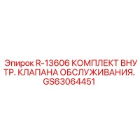 GS63064451 R-13606 КОМПЛЕКТ ВНУТРЕННЕГО КЛАПАНА ОБСЛУЖИВАНИЯ Epiroc