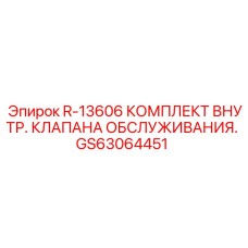 GS63064451 R-13606 КОМПЛЕКТ ВНУТРЕННЕГО КЛАПАНА ОБСЛУЖИВАНИЯ Epiroc