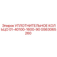 GS63065260 УПЛОТНИТЕЛЬНОЕ КОЛЬЦО 01-40100-1600-90 Эпирок
