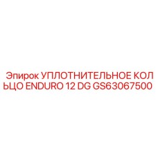 GS63067500 УПЛОТНИТЕЛЬНОЕ КОЛЬЦО ENDURO 12 DG Epiroc