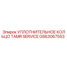 GS63067553 УПЛОТНИТЕЛЬНОЕ КОЛЬЦО TAMR SERVICE Epiroc