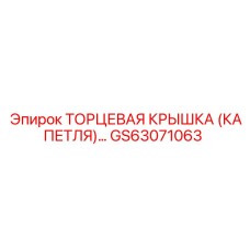 GS63071063 ТОРЦЕВАЯ КРЫШКА (КАПЕТЛЯ) Epiroc