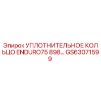 GS63071599 УПЛОТНИТЕЛЬНОЕ КОЛЬЦО ENDURO75 898… Epiroc